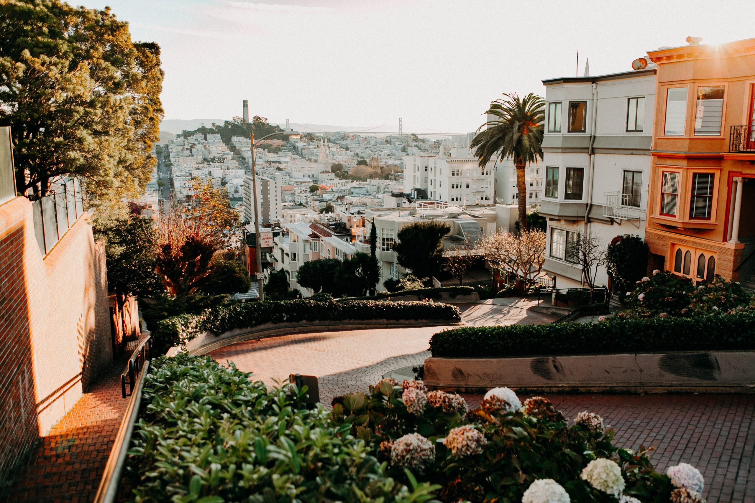 Sunny Lombard Street in San Francisco lined with palm trees, dahlias, and houses