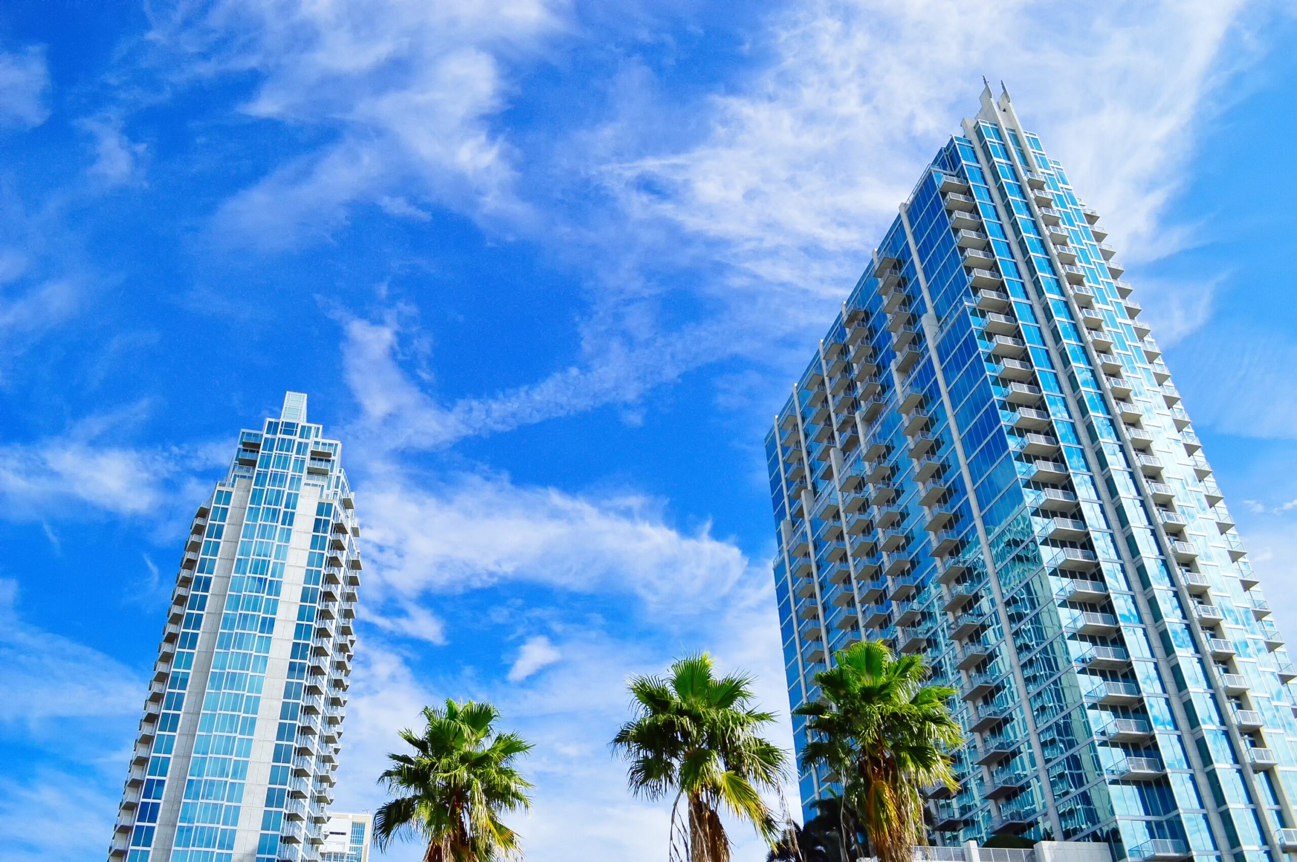 Two large towers of Luxury Condominiums circling two large palm trees against a background of blue skies in Tampa Florida